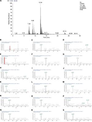 Baoyuan Jiedu Decoction Alleviates Cancer-Induced Myotube Atrophy by Regulating Mitochondrial Dynamics Through p38 MAPK/PGC-1α Signaling Pathway